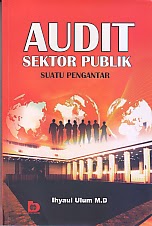 audit sektor publik